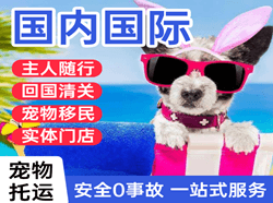 莫力达瓦旗航空货运国际宠物托运 【国